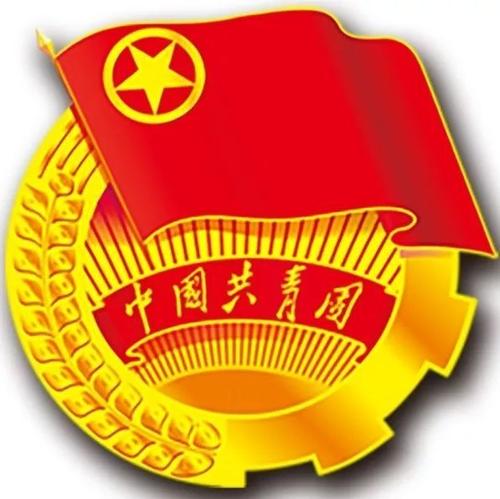 青年干部中国100年征程写作