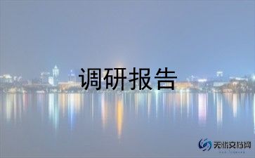 大学生村官调研报告2022精选5篇
