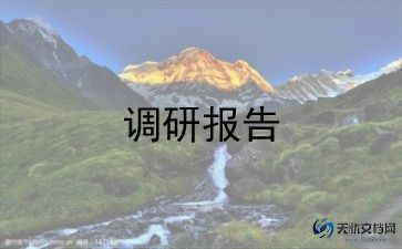 云支教社会实践调研报告7篇